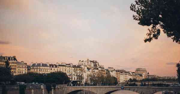 阿尔博特智能机器人批发