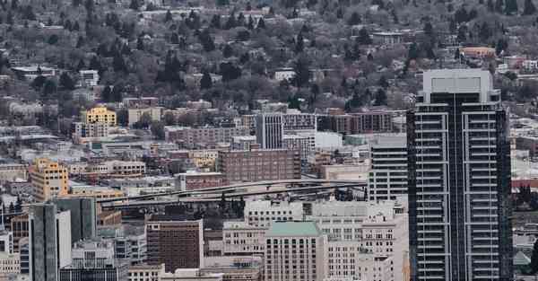 CHATGPT人工智能查重(CHATGPT人工智能选号)