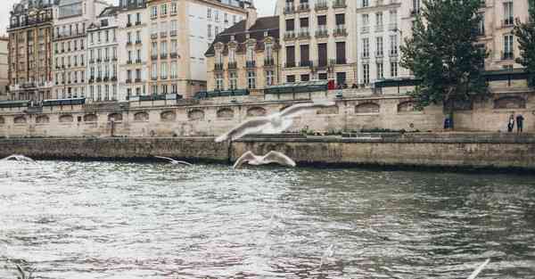 人工智能机器人和人谈恋爱
