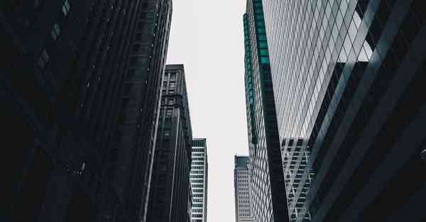 外国语单招大数据的行业文章