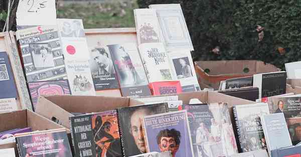 大数据监管的作用（监管大数据应用）