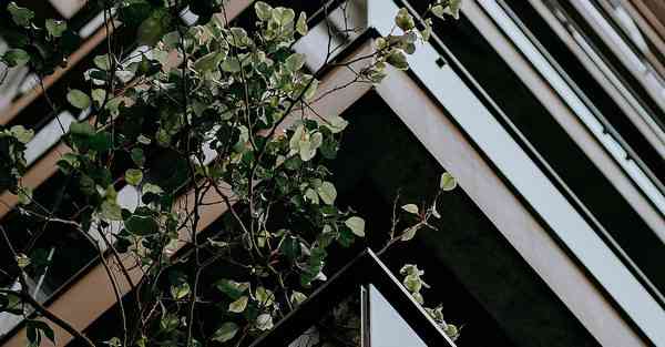 复旦管理大数据