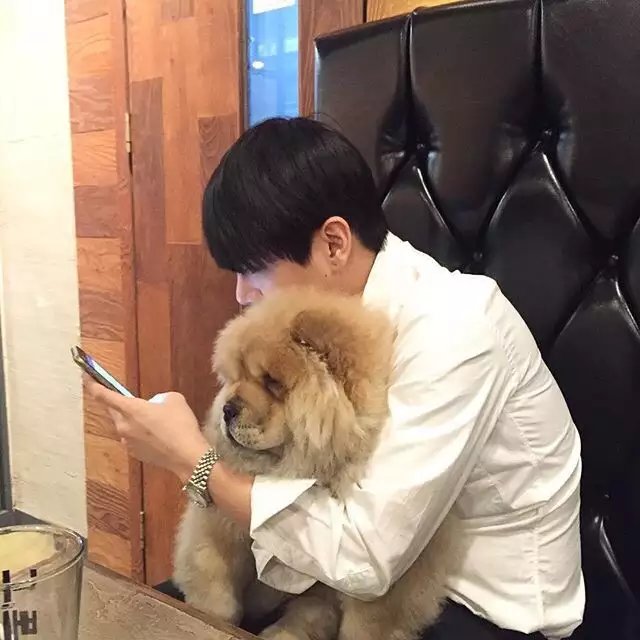国珍宗明