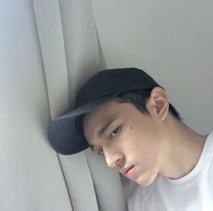 宣全燕琴