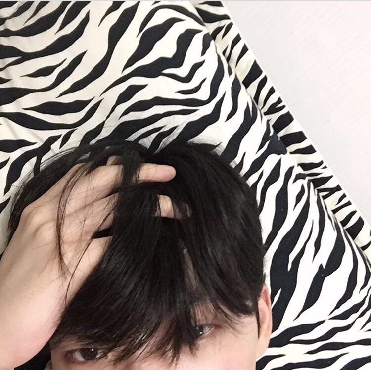 章宽壮旭