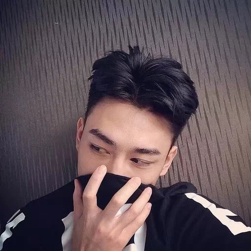 尹苑菲蓉