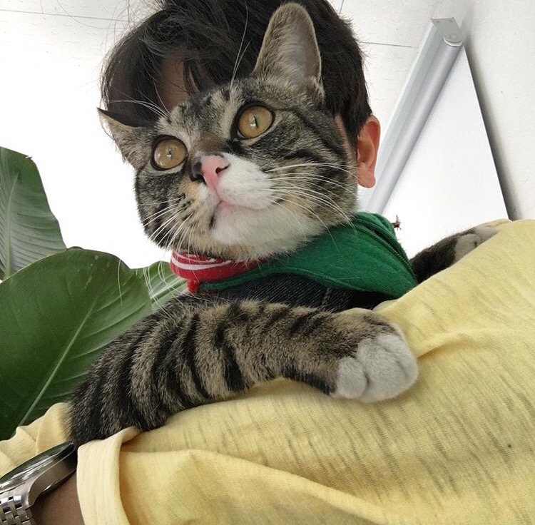 章义璐建
