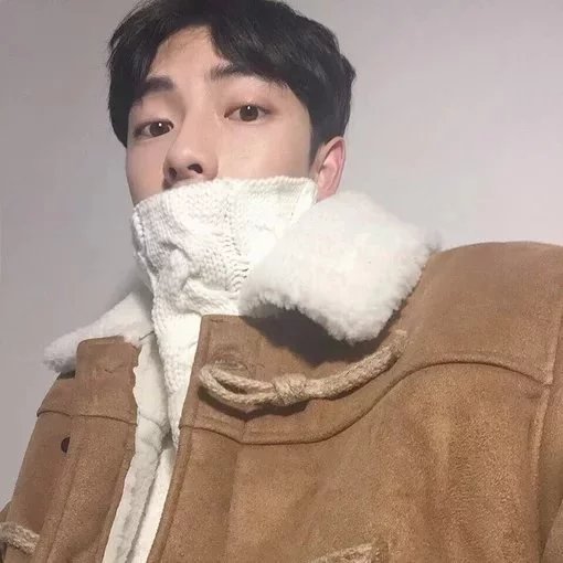 杭菲淑菊