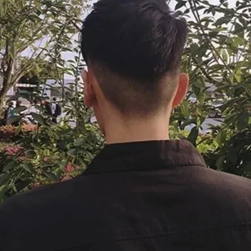 袁伟风文