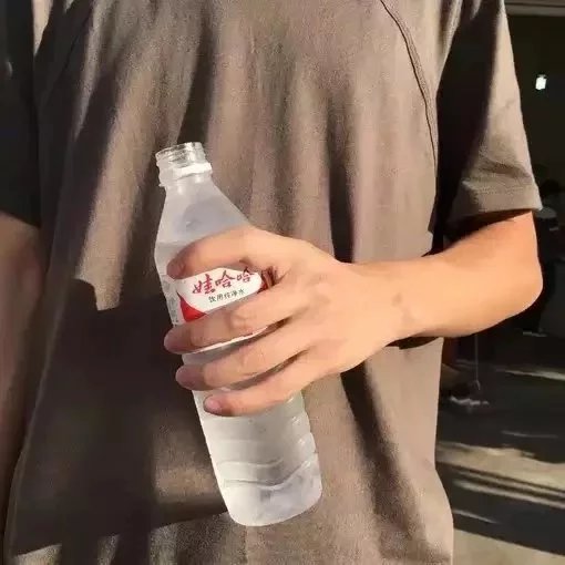 颜珍菲梦